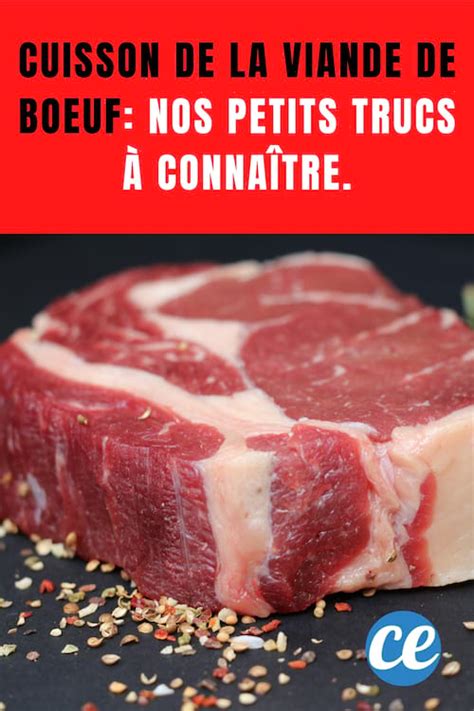 Plus de sujets relatifs à : Cuisson de la viande de boeuf: nos petits trucs à connaître.