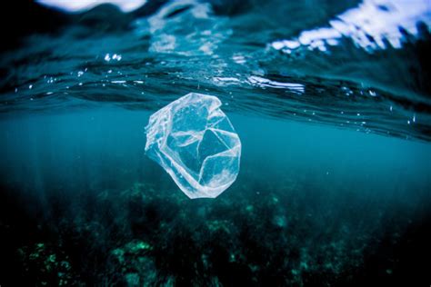 Documenting The Plastic Pollution Crisis Alamy Blog