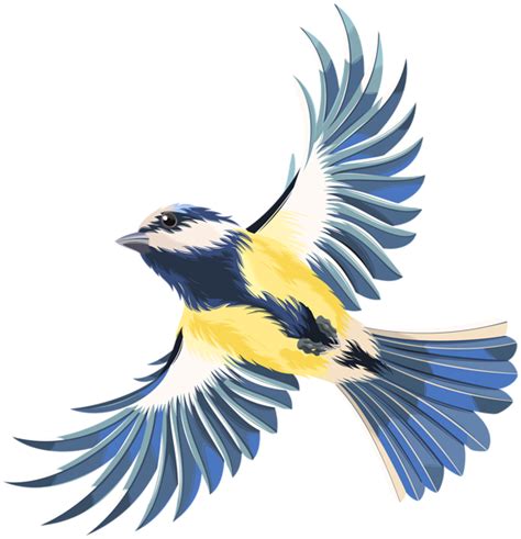 Flying Bird Transparent PNG Clip Art Image | Birds flying, Flying bird illustration, Flying bird ...