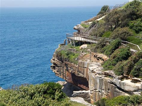 The Federation Cliff Walk Sydney Australia Official Travel
