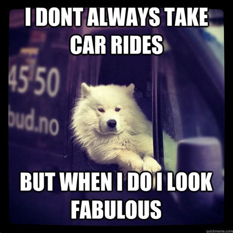 I Dont Always Take Car Rides But When I Do I Look Fabulous Most