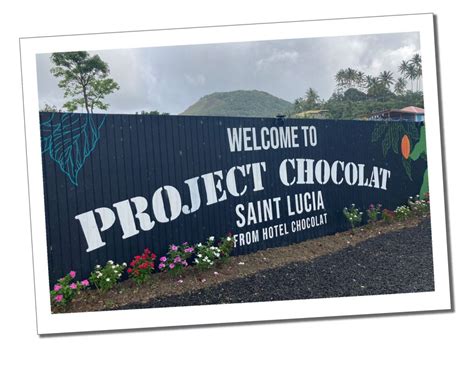 St Lucia Chocolate Tour The Hotel Chocolat Tree To Bar Experience Sue Where Why What