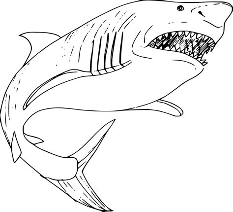 Dibujos De Tiburón Para Colorear E Imprimir Dibujos Colorearcom