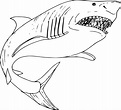 Tiburón Megalodón Grande para colorear, imprimir e dibujar – Dibujos ...