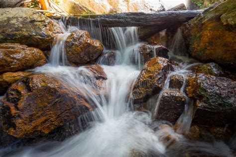 Forest Stream Waterfall Waterfall Mossy Rocks Stock Image Image Of