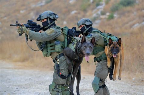 מדהים הצבא האמריקני יפעיל כלבי תקיפה באמצעות מציאות רבודה