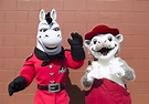 Ace and Otey - An Interview with the Arkansas Travelers Mascots - Only ...