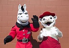 Ace and Otey - the Arkansas Travelers Mascots | Only In Arkansas