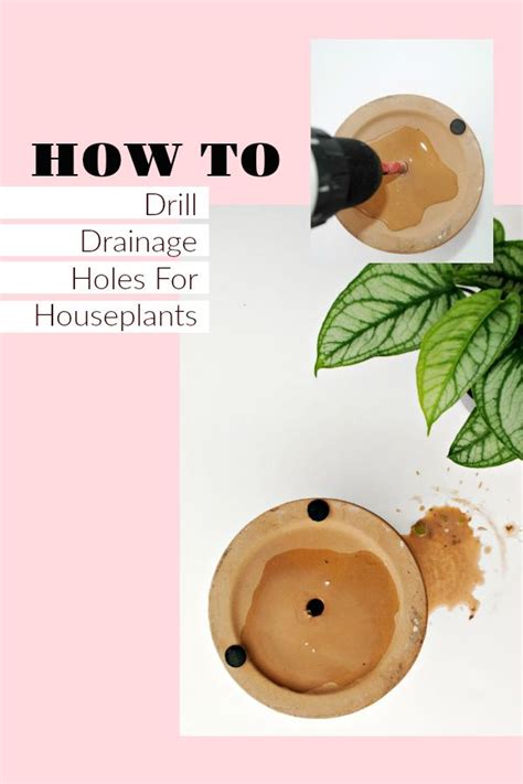 How To Drill Drainage Holes For Houseplants Houseplants Hydroponic