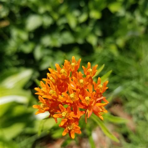 92 best Monroeville images on Pholder | Pittsburgh, Funkopop and My