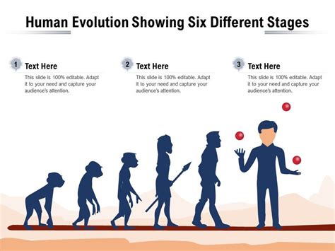 Human Evolution Showing Six Different Stages Powerpoint Slides