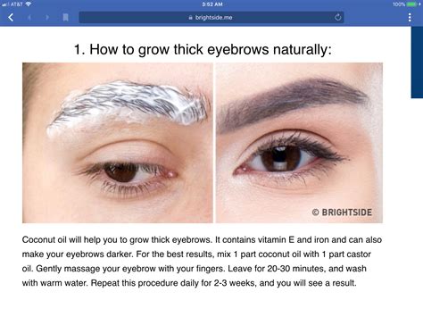 Homemade Eyebrow Thickener In 2022 How To Thicken Eyebrows Thicker
