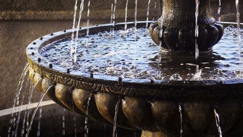Chasing The Fountain Of Youth Stone Fountains Fountain Images Of