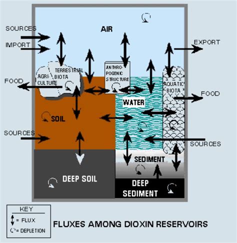 Dioxins are called persistent organic pollutants (pops), meaning they take a long time to break down once they are in the environment. Dioxin Exposure Initiative | Dioxin | US EPA