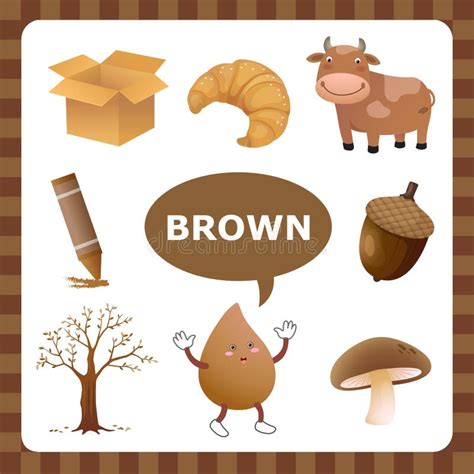 Brown Color Stock Vector Illustration Of Preschool Material 55186577