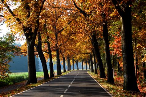 deutsche alleenstraße foto and bild landschaft alleen natur bilder auf fotocommunity