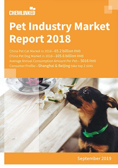 An update to the end of 2018, examining the total uk commercial property stock by capital value, rental value, floorspace, reversionary yield, sector, msci segment and investor type and domicile. Pet Industry Market Report 2018 | ChemLinked