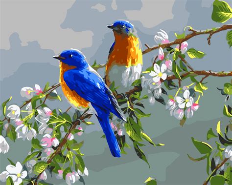 Finishing the painting in a professional manner. 16x20" DIY Acrylic Paint By Number kit Oil Painting On ...