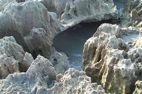 Bathtub reef is located just offshore at bathtub beach park in stuart florida. SunCam.tv -bathtub-reef