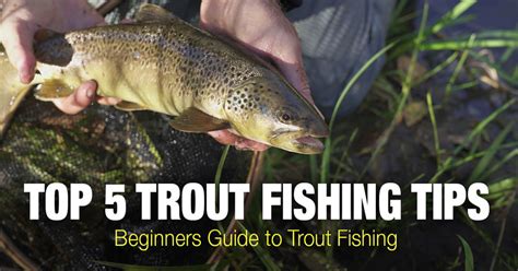 Trout Fishing Tips Beginners Guide To Trout Fishing