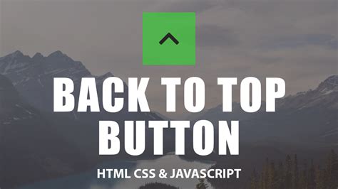 Back To Top Button With Hover For A Web Page Scroll Top Using Html