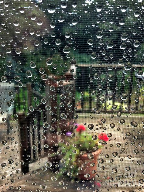 Summer Rain Photograph By Hd Connelly Fine Art America