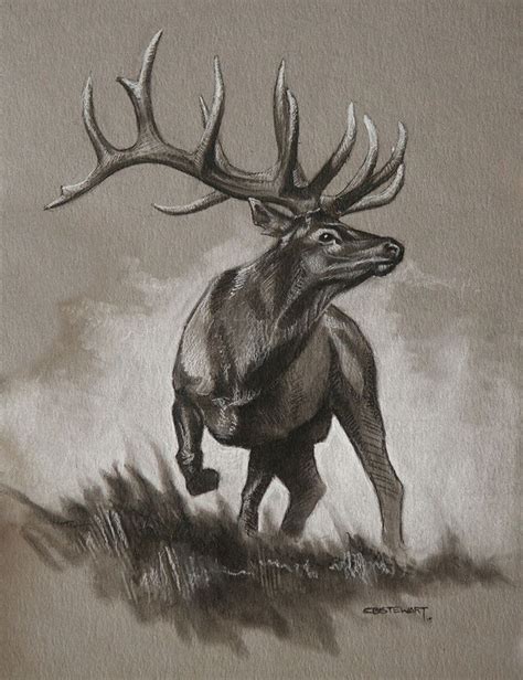 Before you actually kill the bull elk, you're going to need to know where to find its herd. Bull Elk Original Sketch | Bull elk, Wildlife art and Elk