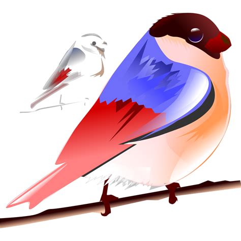 Colorful Bird Png Svg Clip Art For Web Download Clip Art Png Icon Arts