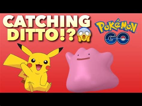 It is known as the transform pokémon. I Got Ditto Bruh!! (Ditto Evolve Glitch Pokémon Go ...