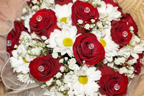 Bride S Bouquet Of Red Roses And White Daisies Stock Image Image Of