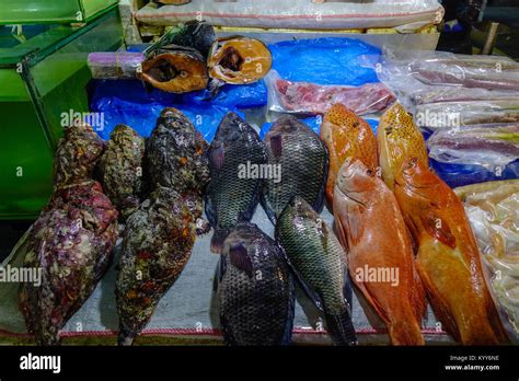 Night Scene Of Fish Market At Seaside Dampa Macapagal In Manila