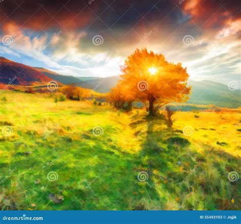 Lonely Autumn Tree Against Dramatic Sky In The Mountains Stock Image