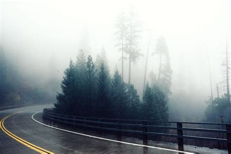 Free Picture Fog Road Mist Nature Landscape Tree Rain Wood Asphalt