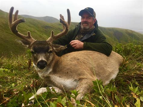 Sitka Blacktail Deer Hunt Ak Trips4trade