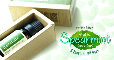 Spearmint oil is both cleansing as well as uplifting. What is Spearmint Good For? 6 Essential Oil Uses Here.