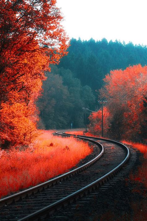 Orange Autumn Railway Track Wallpaper Hd Mobile Walls