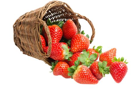 Dufferin Countys Premier Strawberry Patch Jenala Farms