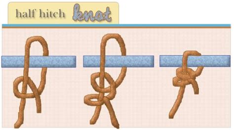 5 Basic Knots Everyone Should Know How To Tie Tie Knots Knots