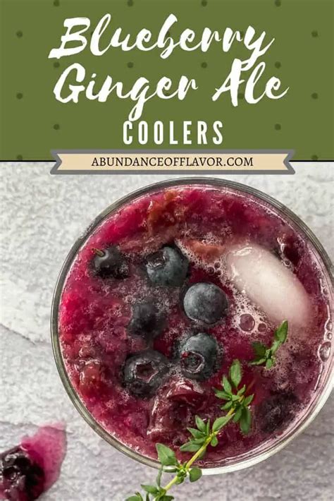 Blueberry Ginger Ale Coolers Abundance Of Flavor