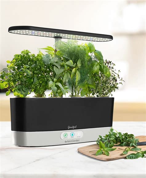 Nurture your plants with light from the best angle; 12 Aerogarden Tips For Beginners