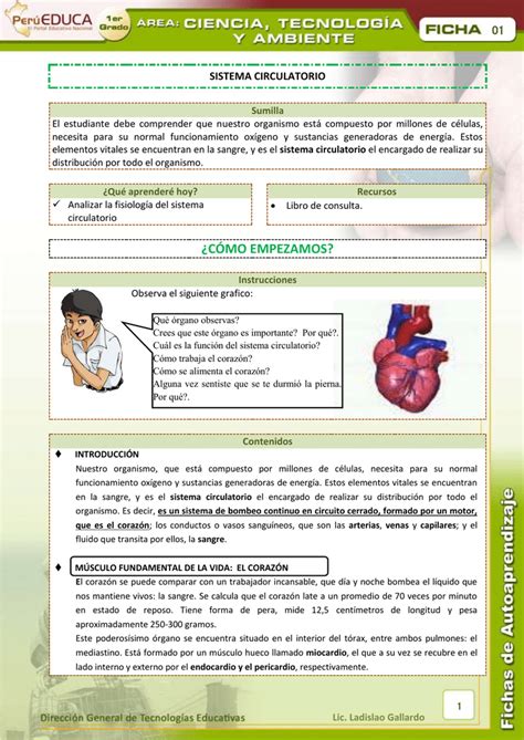 01 Sistema Circulatorio