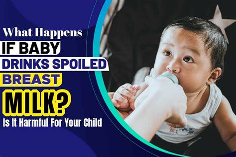 What Happens If Baby Drinks Spoiled Breast Milk Is It Harmful For Your