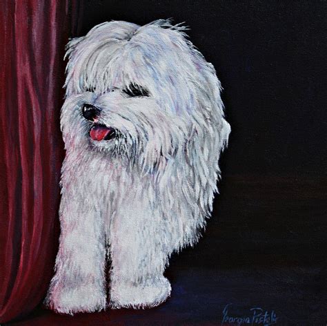 Maltese Painting By Georgia Pistolis Fine Art America