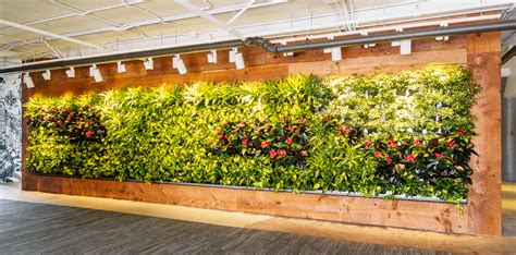 Indoor Green Wall Design Service Living Wall Service Alphaplantes