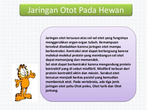 Melekatnya organ pada otot dinding tubuh dibantu oleh jaringan pengikat. Jaringan.otot Dibagi Menjadi 3 Yaitu : Jaringan otot - Jenis kedua adalah otot polos unit ganda ...