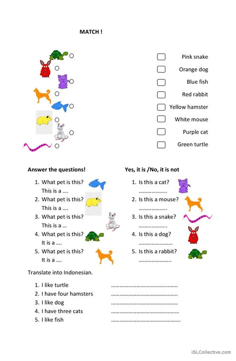 My Pets Worksheet English Esl Worksheets Pdf And Doc