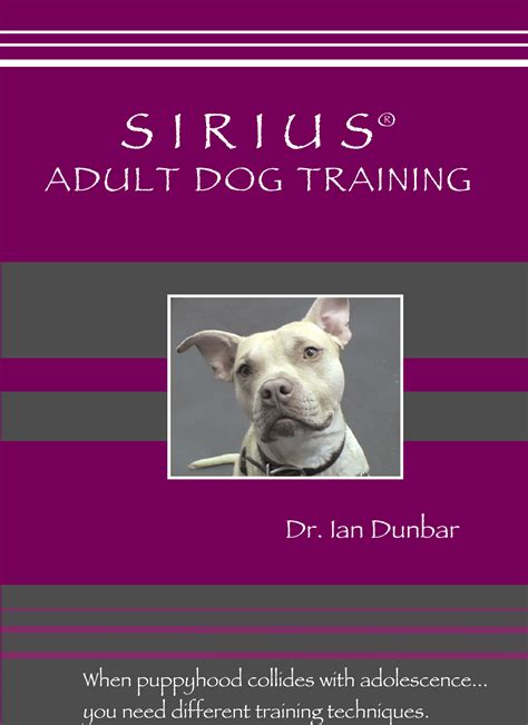 Sirius Adult Dog Training Dog Star Daily