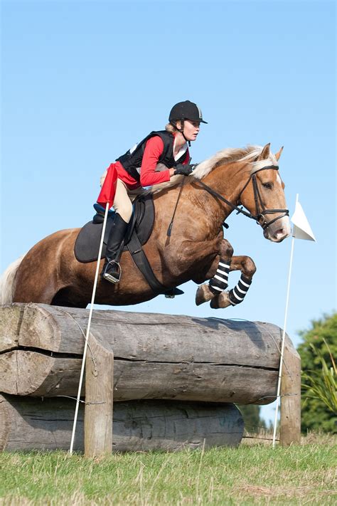 Cross country equestrian jumping is an endurance test that forms one of the three phases of the sport of eventing; Equestrian | Cross country jumps, Eventing horses, Cute ponies