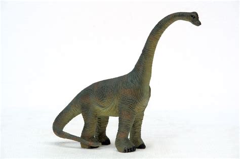 Dino dan is on facebook. brachiosaurus facts sheet - Dinosaurs Pictures and Facts