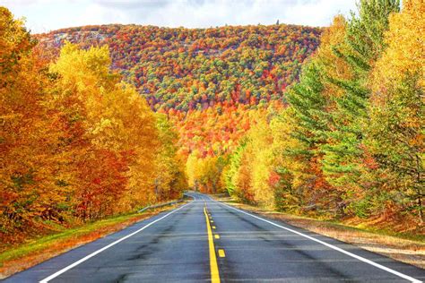 The 20 Best Places To See Fall Foliage In The United States Martha